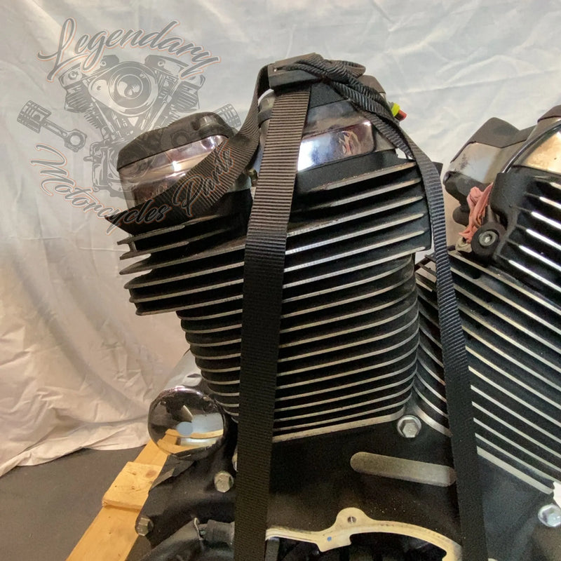 Motore Softail 1745 (107ci) OEM 16200385