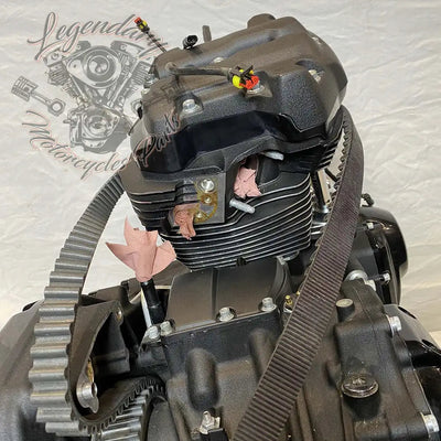 Engine 1868 (114 ci) OEM 16200459