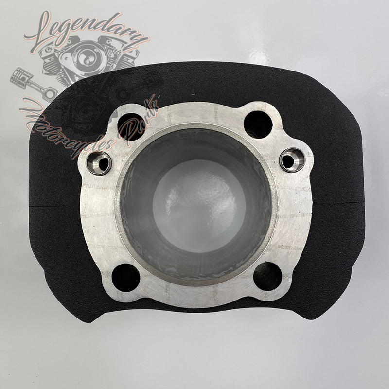 Cylindre et piston OEM 16463-04