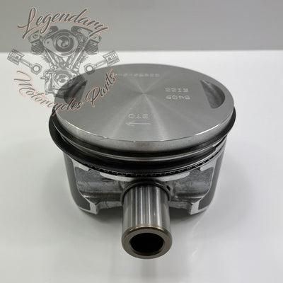 Cylinder and piston OEM 16463-04