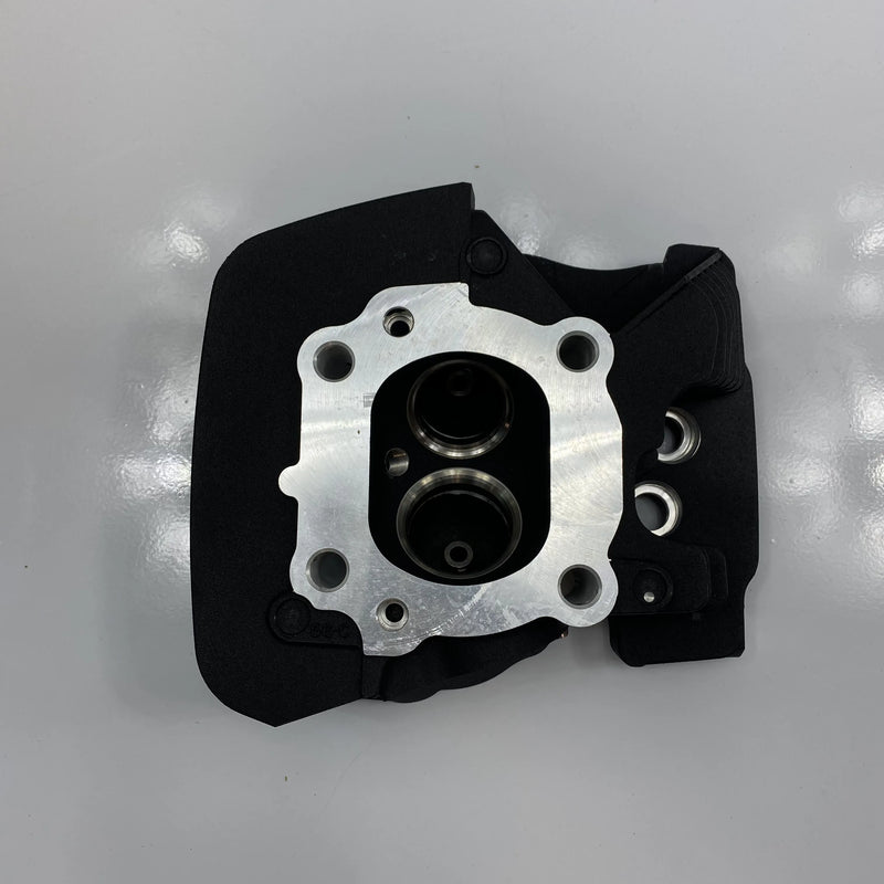 Testa posteriore OEM 16500095