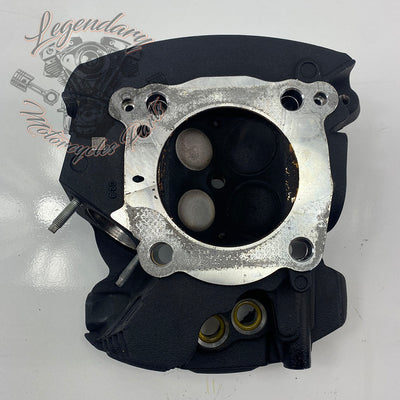 Culatas delanteras OEM 16500392 (16500393)