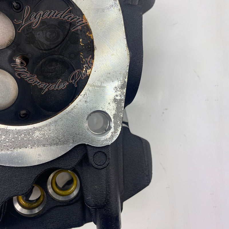 Cilinderkop OEM 16500392 ( 16500393 )