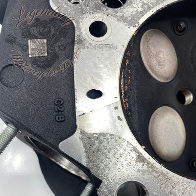 Cilinderkop OEM 16500392 ( 16500393 )