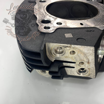 Cilinderkop OEM 16500392 ( 16500393 )
