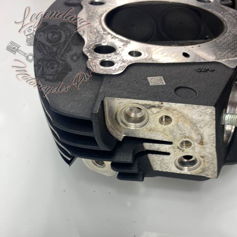 Testata anteriore OEM 16500392 ( 16500393 )