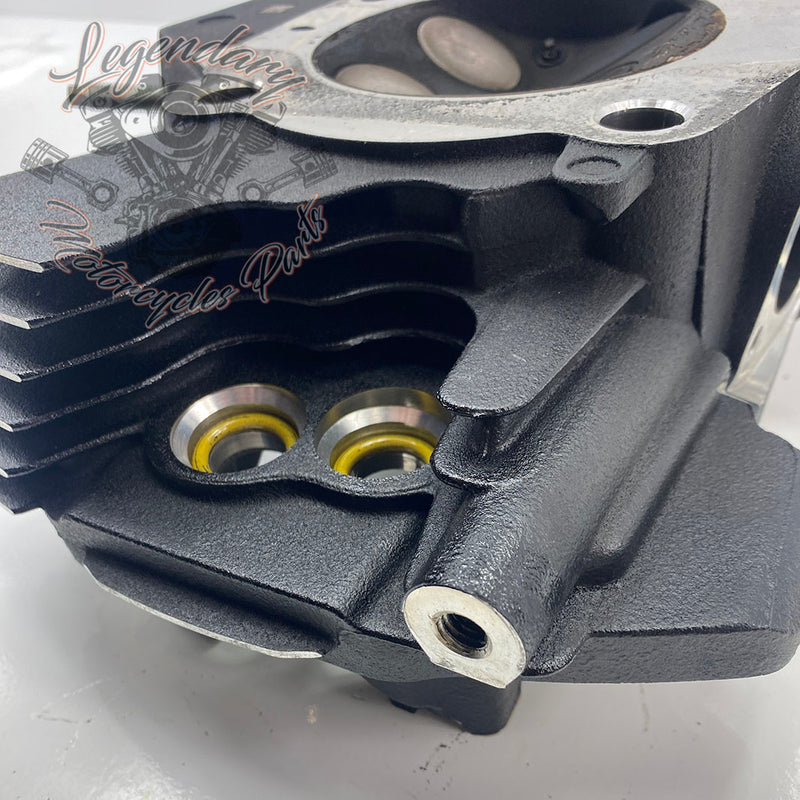 Cilinderkop OEM 16500392 ( 16500393 )
