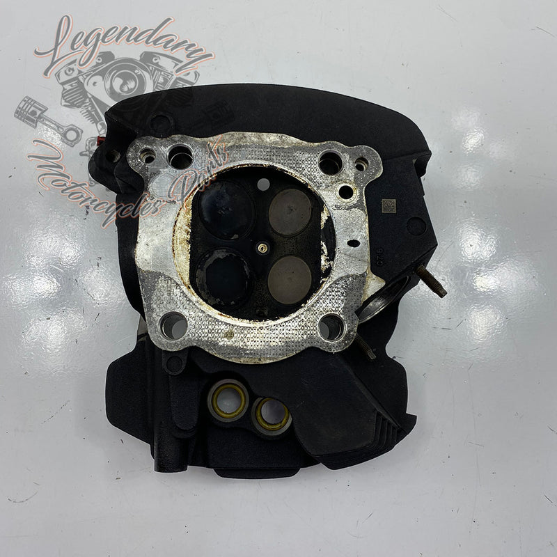 Rear Cylinder Head OEM 16500404 ( 16500388 )