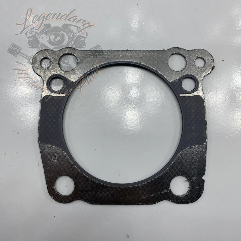 Tesnilo glave valja OEM 16500599