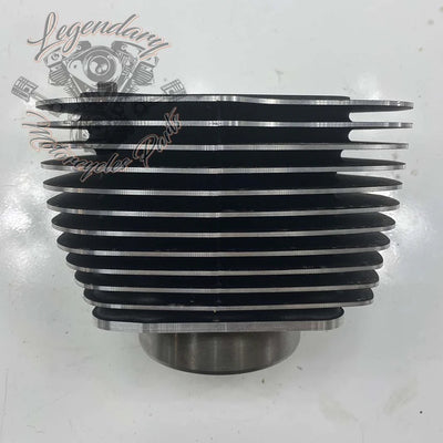 Cylinder OEM 16800097