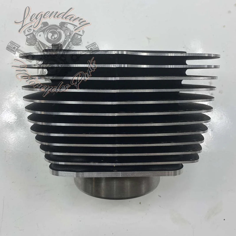 Cylinder OEM 16800097