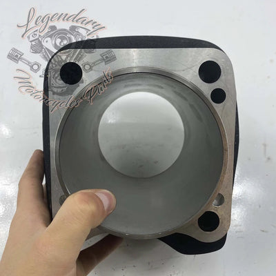 Cylinder OEM 16800097