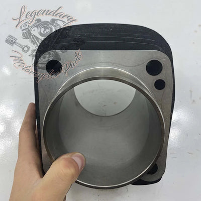 Cylinder OEM 16800097