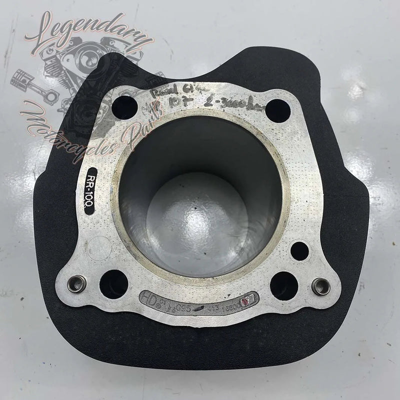 Cylinder OEM 16800097