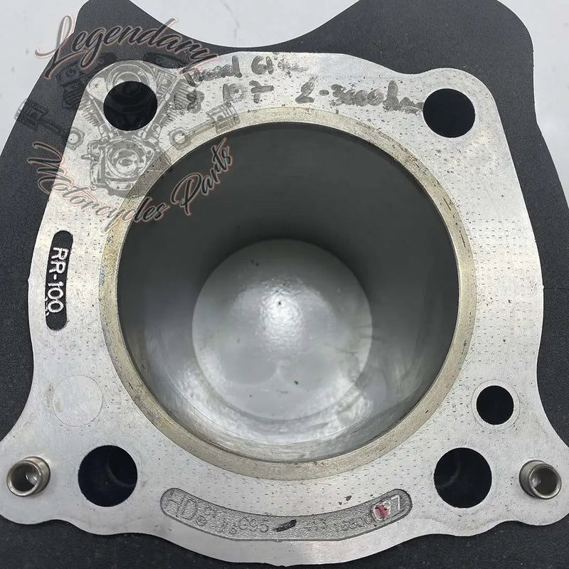 Cylinder OEM 16800097