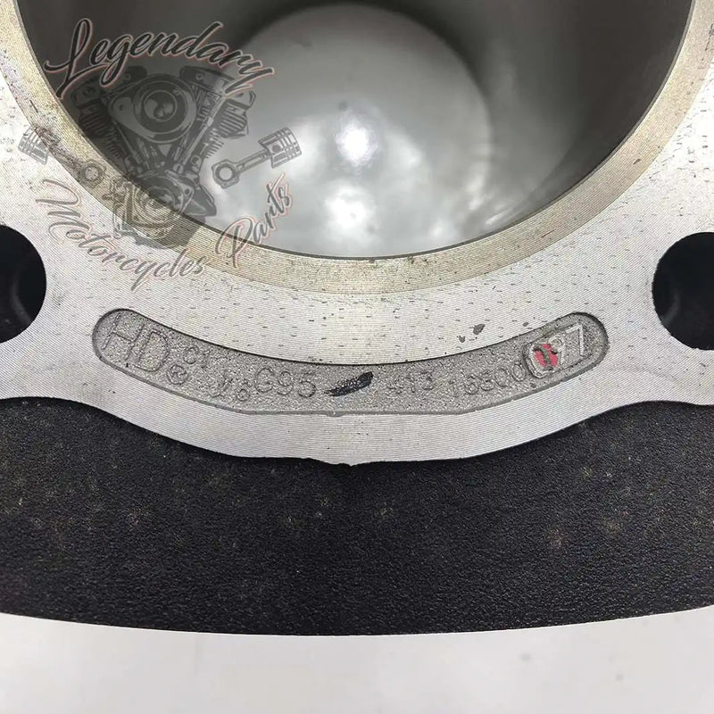 Cylinder OEM 16800097