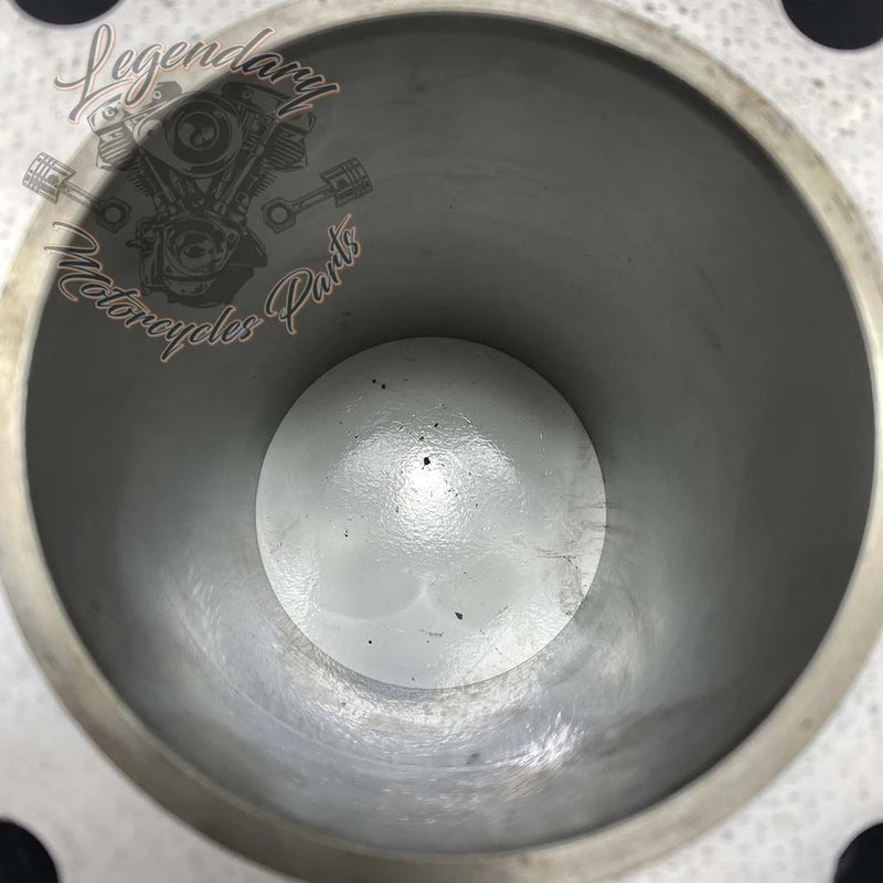 Cylinder OEM 16800097