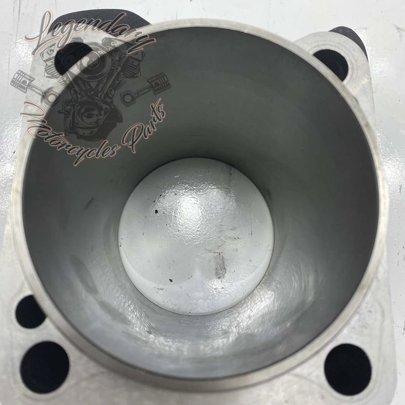 Cylinder OEM 16800097