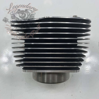 Cylinder OEM 16800097