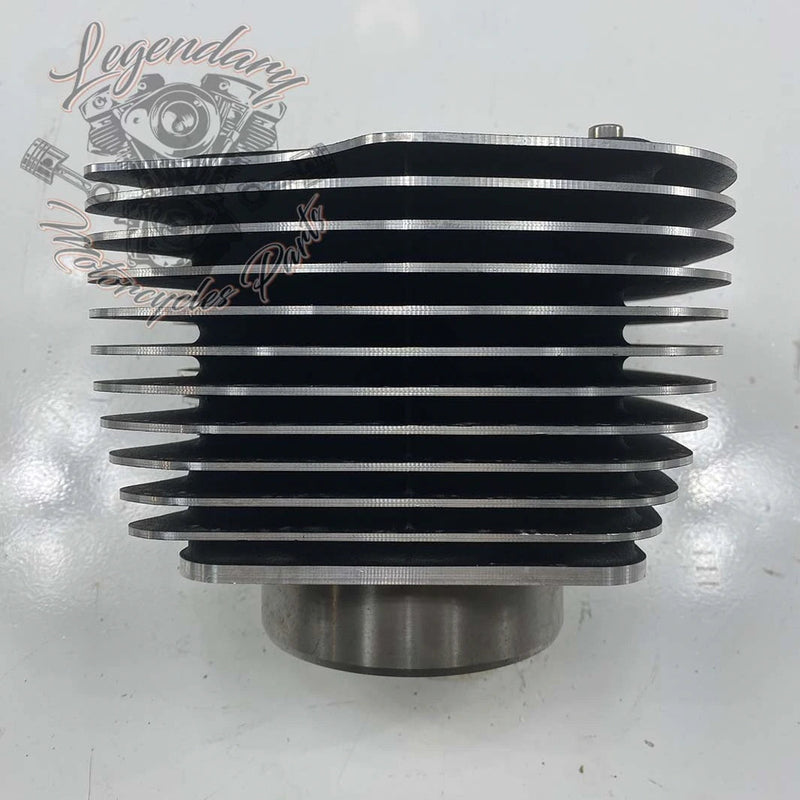 Cylinder OEM 16800097