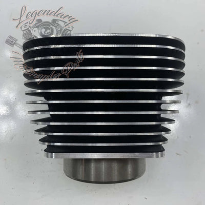 Cylinder OEM 16800097