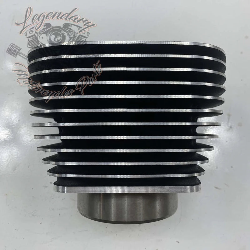 Cylinder OEM 16800097