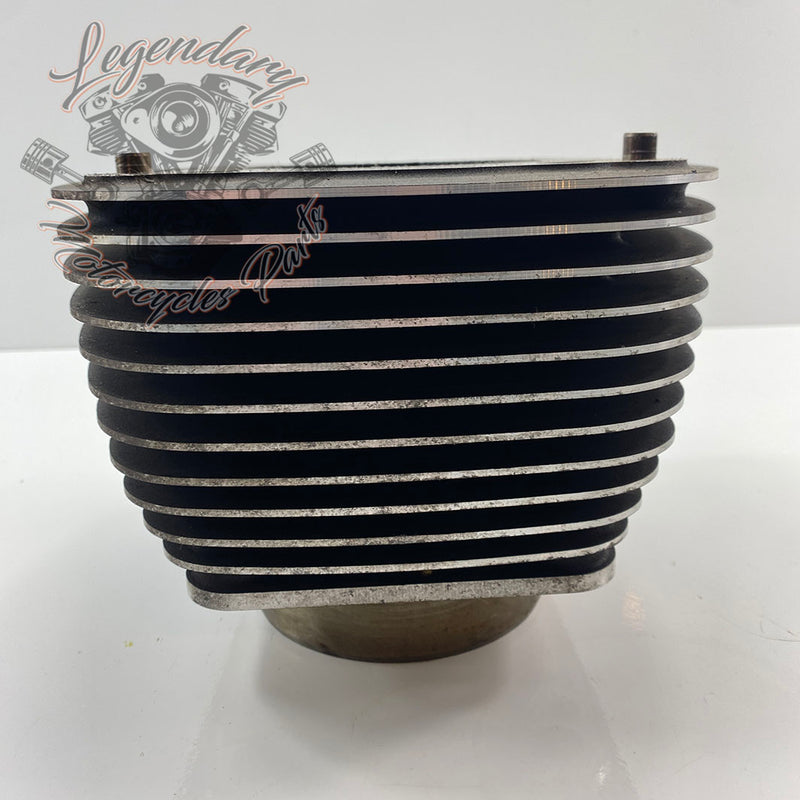 Cilindro posteriore OEM 16800100