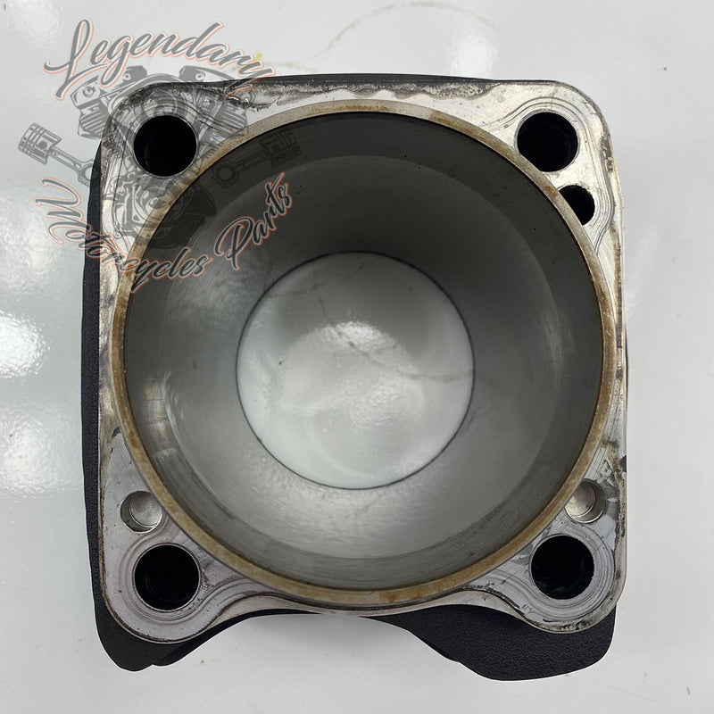 Cilindro posteriore OEM 16800100