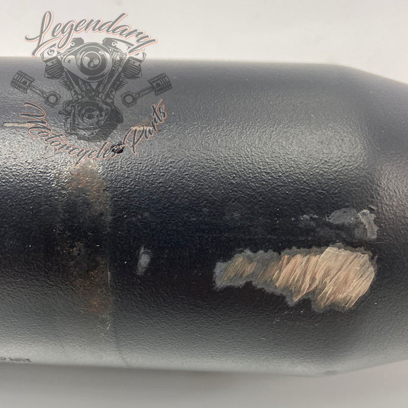 Silencer OEM 64900423