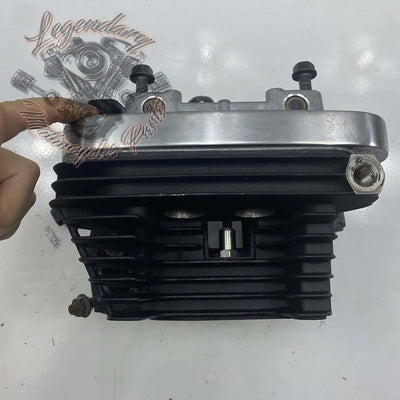 Zadnja glava motorja OEM 16865-07