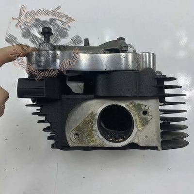 Zadnja glava motorja OEM 16865-07