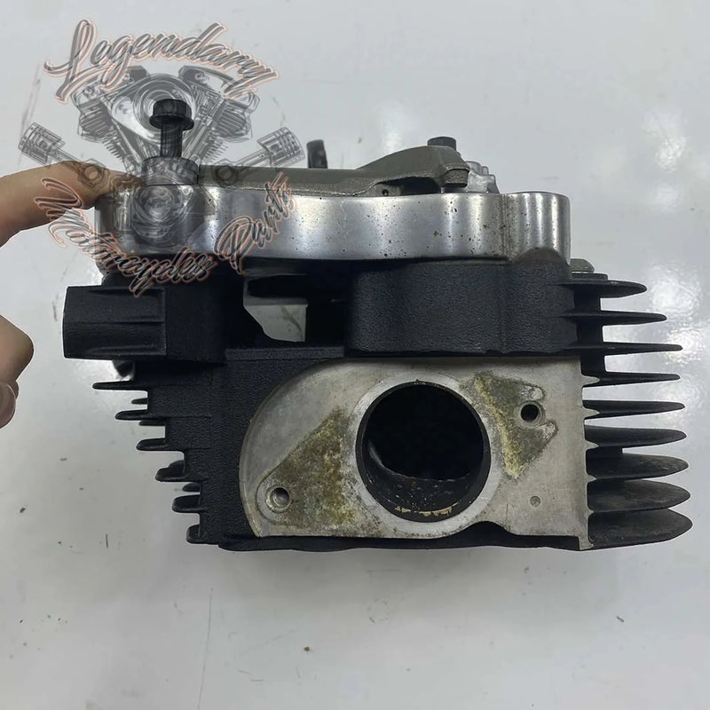 Zadnja glava motorja OEM 16865-07