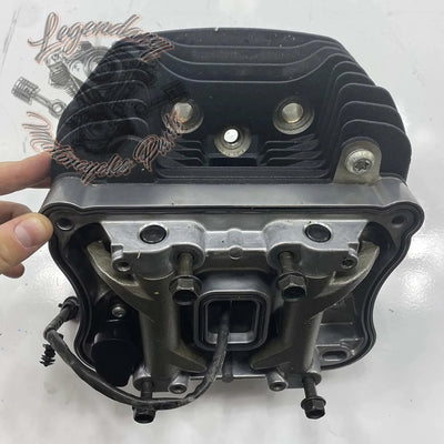 Zadnja glava motorja OEM 16865-07