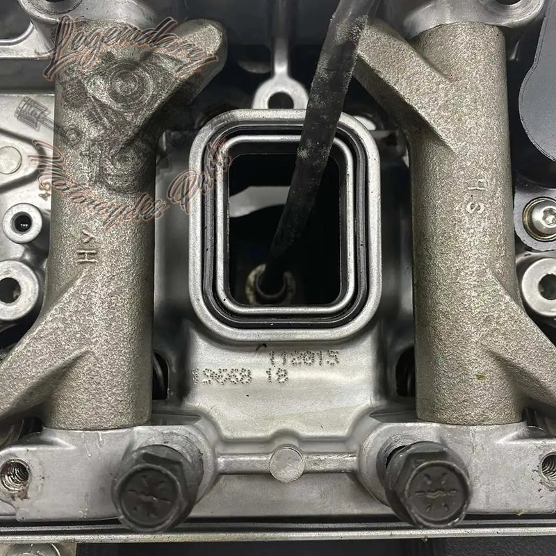 Zadnja glava motorja OEM 16865-07