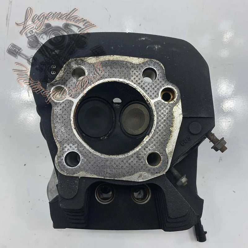 Zadnja glava motorja OEM 16865-07