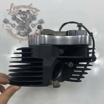 Zadnja glava motorja OEM 16865-07