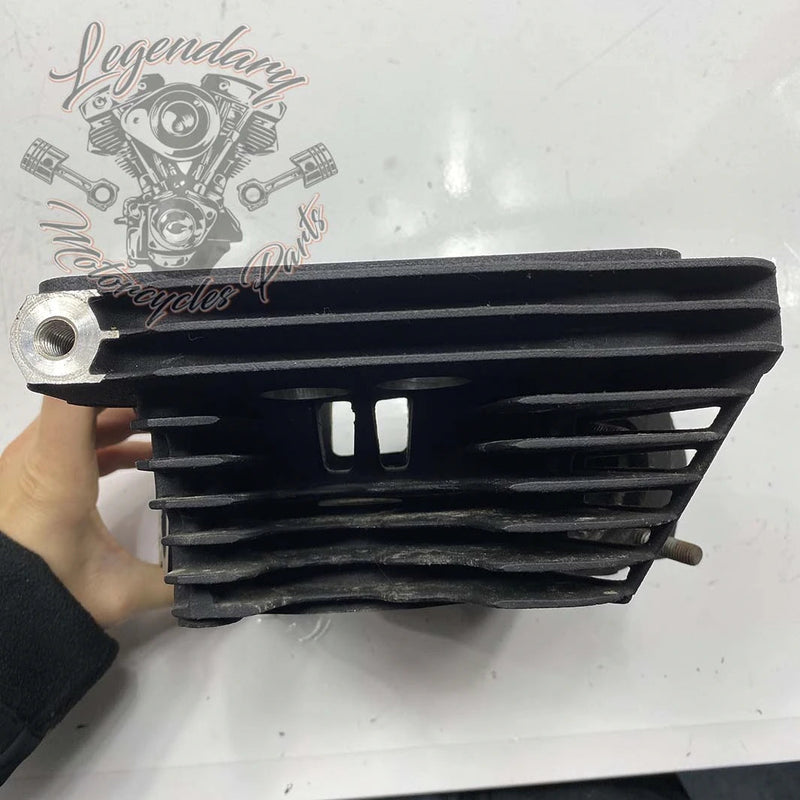 Front Cylinder Head OEM 17192-06B (17178-06A)
