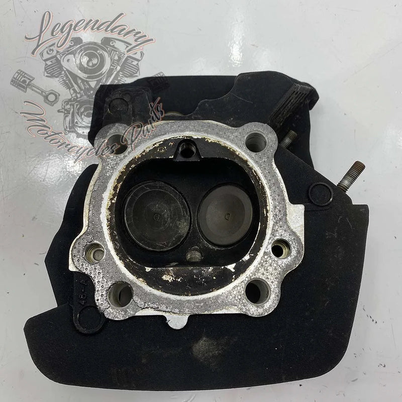 Front Cylinder Head OEM 17192-06B (17178-06A)