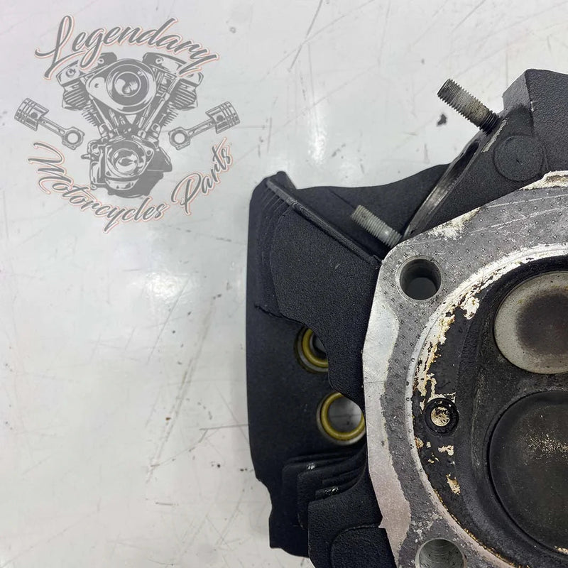 Testa cilindro anteriore Screamin Eagle 110ci OEM 17248-07B