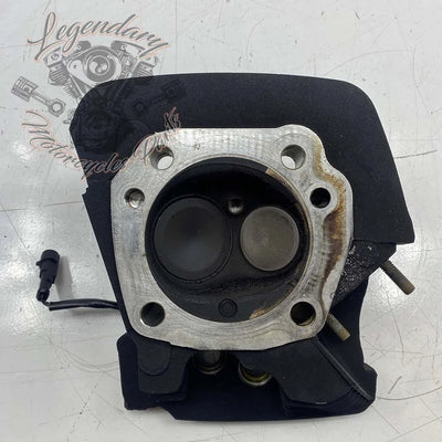 Zadnja glava cilindra Screamin' Eagle 110ci OEM 17250-07