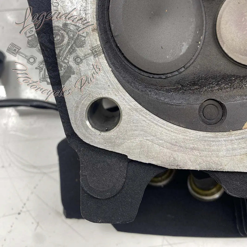 Zadnja glava cilindra Screamin&