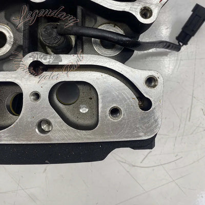 Zadnja glava cilindra Screamin' Eagle 110ci OEM 17250-07