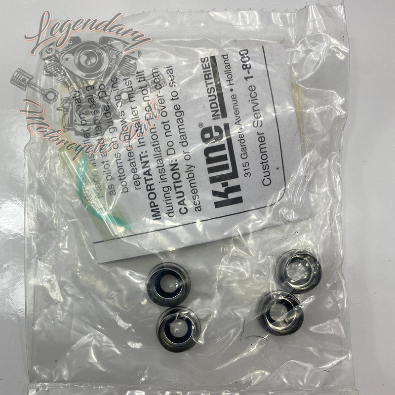 Valve stem seals Ref 4818004-86