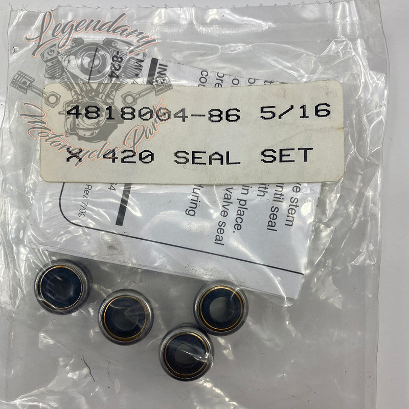 Valve stem seals Ref 4818004-86