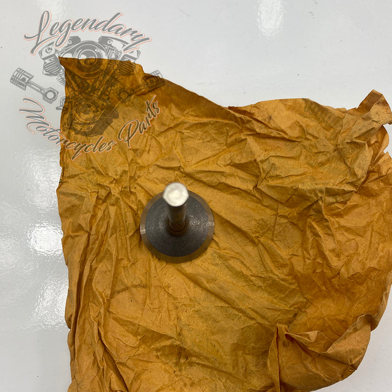 Ventil OEM 18023-87