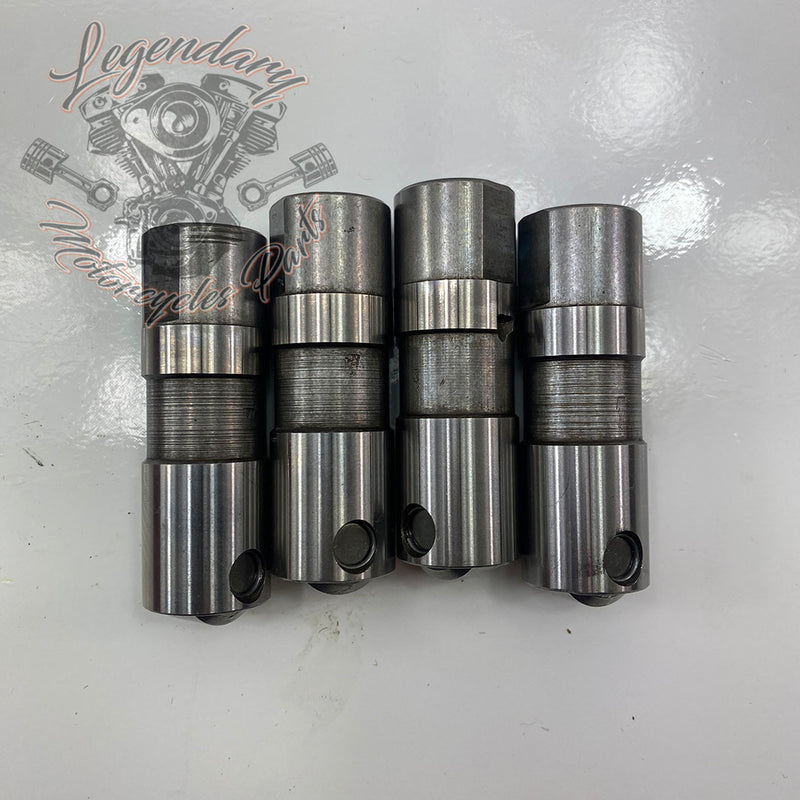 Hydraulic tappets OEM 18538-99C