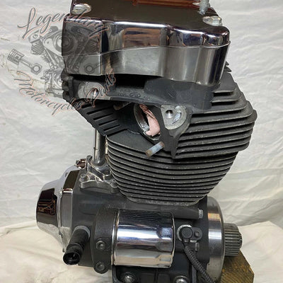 1690 Engine (103 ci) OEM 19291-14