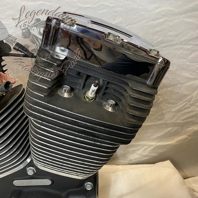 1690 Engine (103 ci) OEM 19291-14