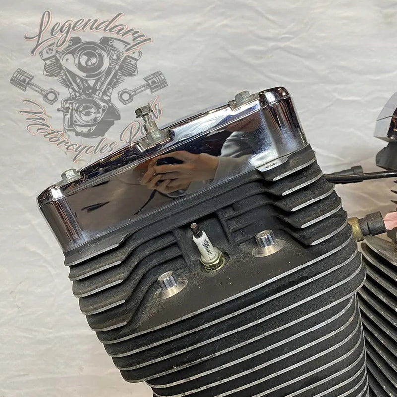 1690 Engine (103 ci) OEM 19291-14