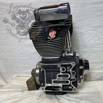 1690 Engine (103 ci) OEM 19291-14